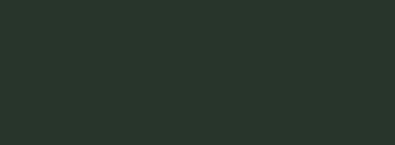 RAL 6009 - Verde abete