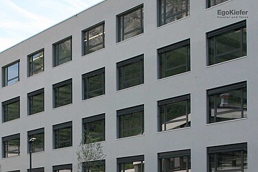 Fotografia esterna di un edificio di appartamenti Bahnhofpark Areal Ost, Sargans, facciata della finestra visibile