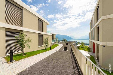 Aussenaufnahme der Mehrfamiliehnhäuser "Les balcons du Lavaux", Jongny
