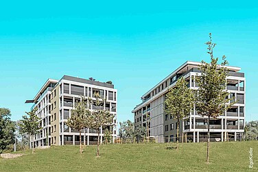 Aussenansicht der beiden Mehrfamilienhäuser Seemoosholz in Arbon mit 36 Eigentumswohnungen