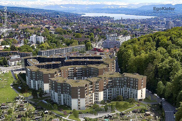Vista aerea, ripresa esterna, complesso residenziale Guggach, Zurigo