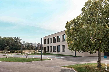Modernes zweistöckiges Schulgebäude mit grossen Fenstern und einem Baum im Vordergrund auf einem sonnigen Schulhof.