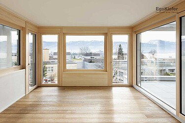 Photo intérieure de la maison double dans la région de Zurich